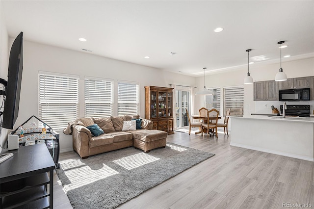 living room featuring light hardwood / wood-style floors and sink