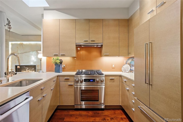 kitchen with a sink, light countertops, dark wood-style flooring, and stainless steel appliances