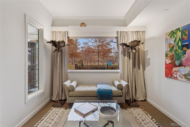 sitting room featuring baseboards and carpet floors