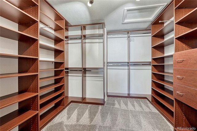 walk in closet featuring carpet