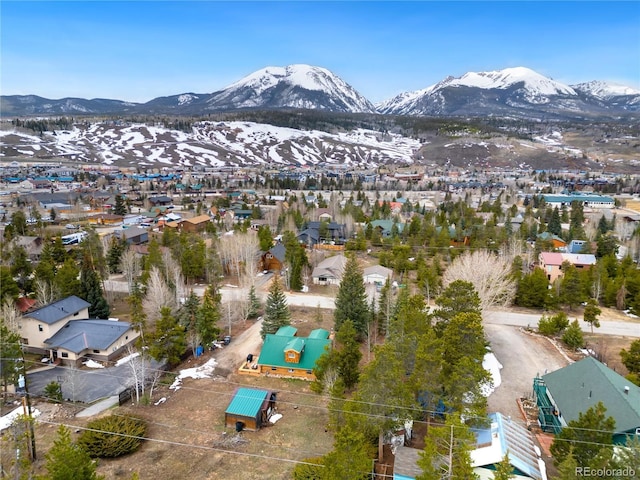 316 Hummingbird Cir, Silverthorne, CO 80498 - photo 28