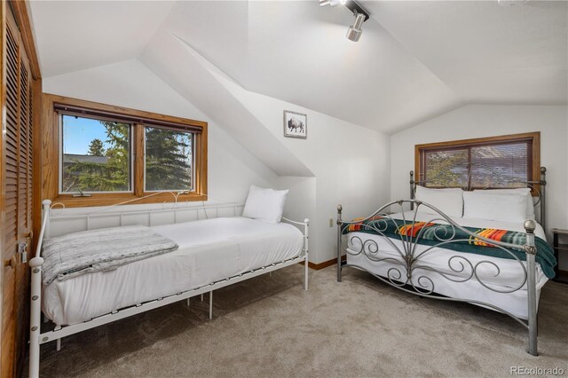 316 Hummingbird Cir, Silverthorne, CO 80498 - photo 15