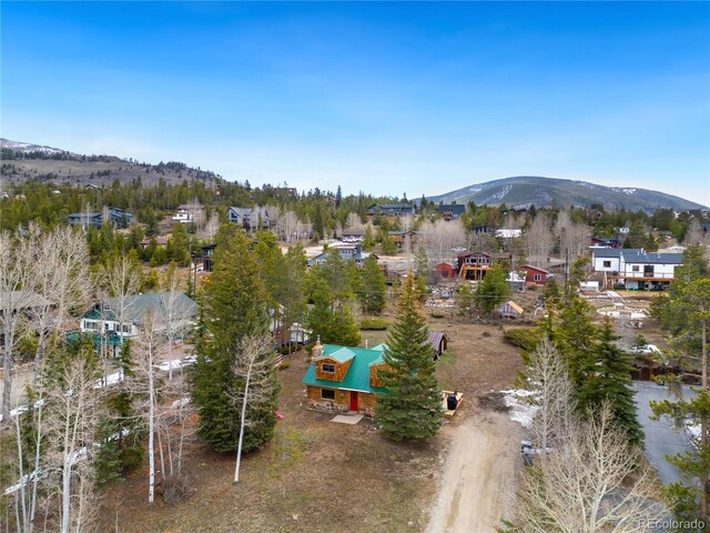 316 Hummingbird Cir, Silverthorne, CO 80498 - photo 24