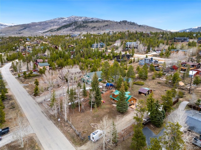 316 Hummingbird Cir, Silverthorne, CO 80498 - photo 26