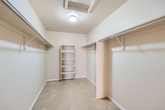 walk in closet featuring light carpet and attic access