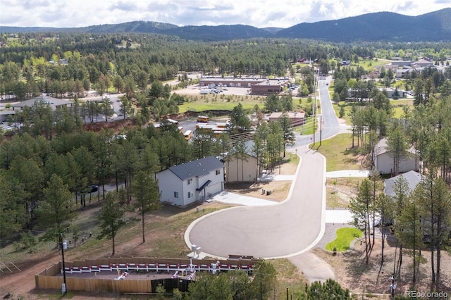 1396 Roberts Ranch Rd, Woodland Park, CO 80863
