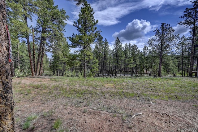 1396 Roberts Ranch Rd, Woodland Park, CO 80863