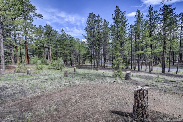 1396 Roberts Ranch Rd, Woodland Park, CO 80863