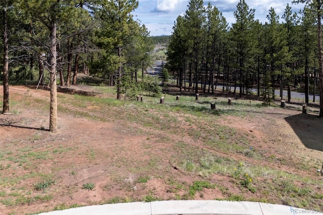 1396 Roberts Ranch Rd, Woodland Park, CO 80863