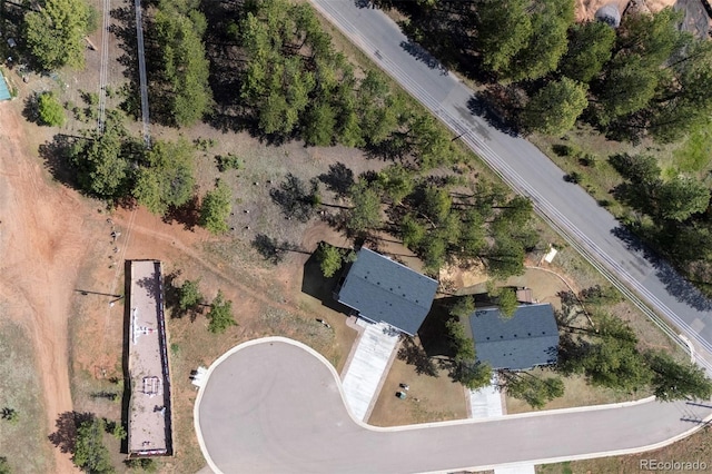 1396 Roberts Ranch Rd, Woodland Park, CO 80863