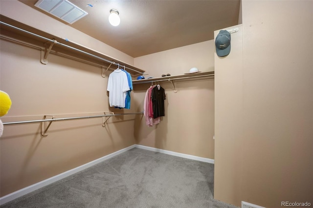 509 Viola St, Palmer Lake, CO 80133 - photo 21