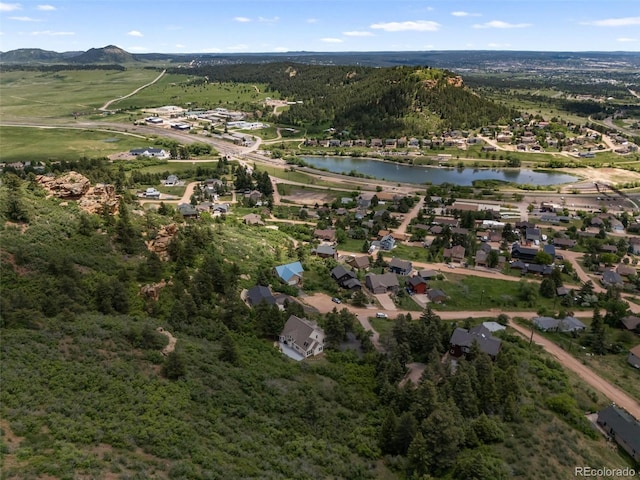 509 Viola St, Palmer Lake, CO 80133 - photo 47