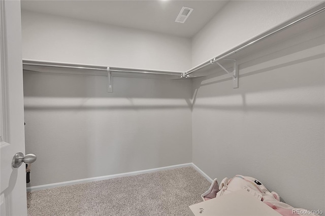 spacious closet featuring visible vents and carpet floors