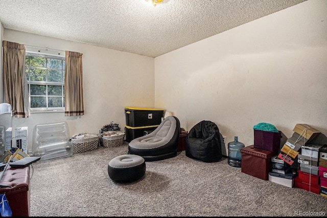 2813 S Xanadu Way, Aurora, CO 80014 - sitting room with carpet and a textured ceiling