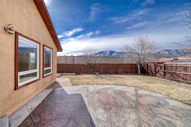 view of yard featuring a patio and a fenced backyard