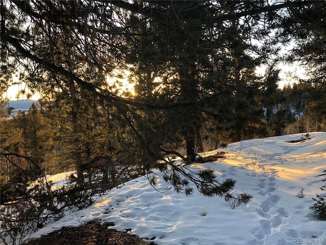 6658 Remington Rd, Jefferson, CO 80456