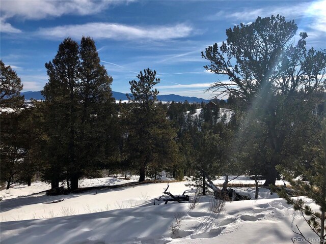 6658 Remington Rd, Jefferson, CO 80456