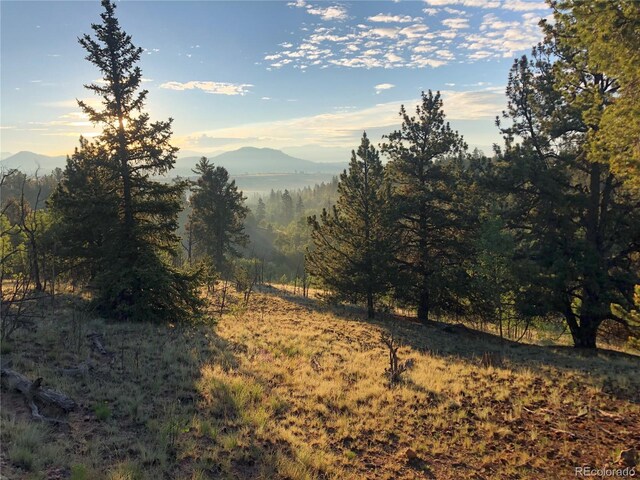 6658 Remington Rd, Jefferson, CO 80456