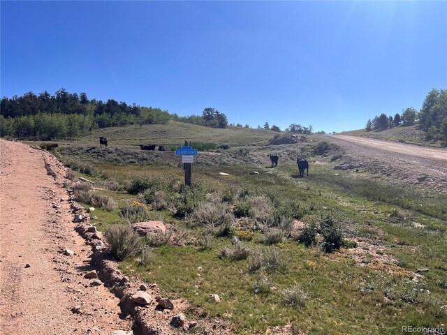 6658 Remington Rd, Jefferson, CO 80456