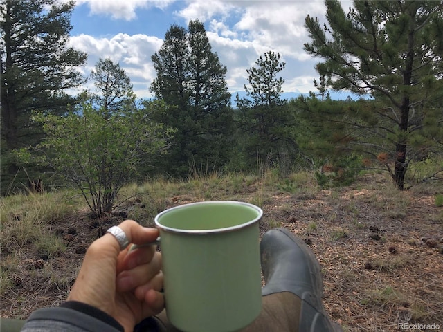 6658 Remington Rd, Jefferson, CO 80456