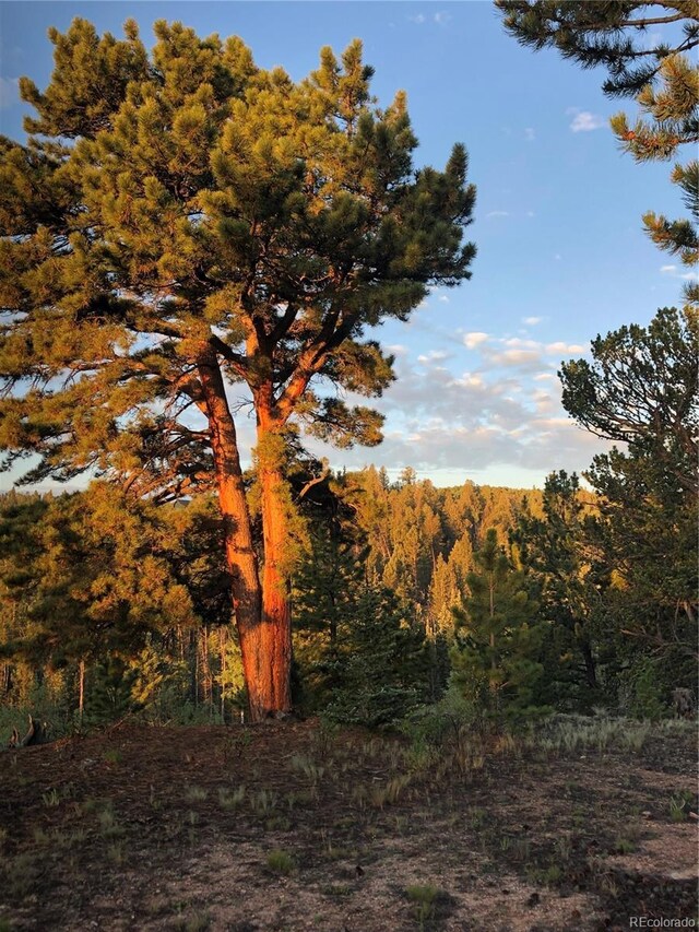 6658 Remington Rd, Jefferson, CO 80456
