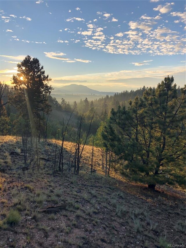 6658 Remington Rd, Jefferson, CO 80456