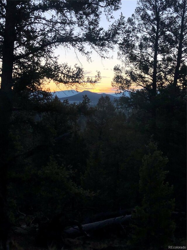 6658 Remington Rd, Jefferson, CO 80456