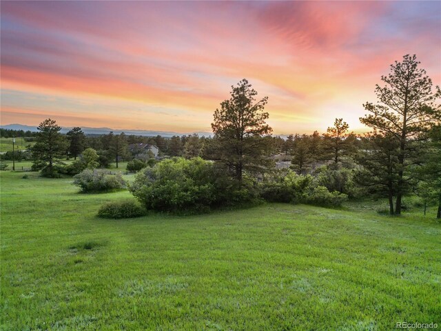 121 County Road 146, Elizabeth, CO 80107 - photo 39