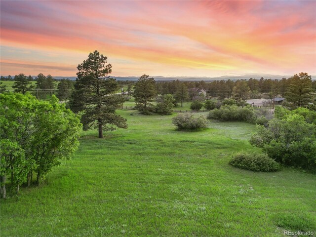 121 County Road 146, Elizabeth, CO 80107 - photo 42