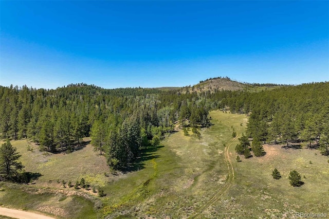 11068 Trail Creek Rd, Divide CO, 80814 land for sale