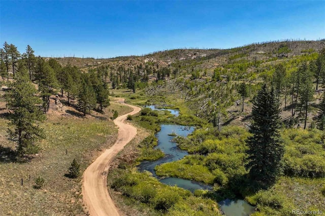 Listing photo 2 for 11068 Trail Creek Rd, Divide CO 80814