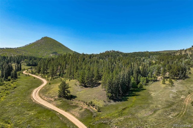 Listing photo 3 for 11068 Trail Creek Rd, Divide CO 80814