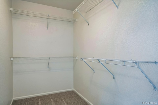 4807 Fenwood Dr, Highlands Ranch, CO 80130 - walk in closet featuring carpet flooring