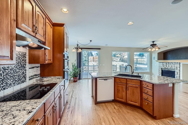 kitchen with under cabinet range hood, light wood-type flooring, dishwasher, and a sink