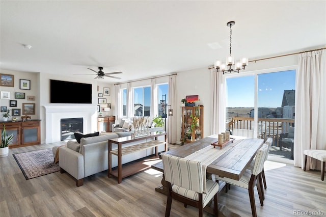 dining area featuring a glass covered fireplace, a healthy amount of sunlight, light wood finished floors, and ceiling fan with notable chandelier