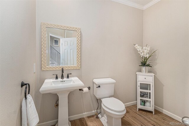 10197 Mountain Maple Ln, Highlands Ranch, CO 80129 - photo 19