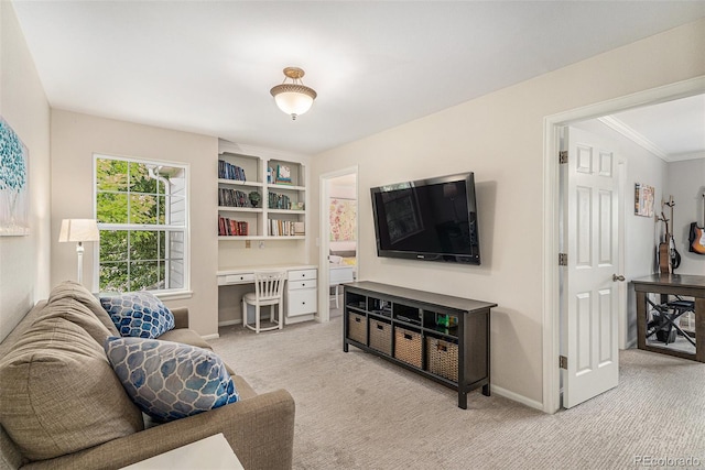 10197 Mountain Maple Ln, Highlands Ranch, CO 80129 - photo 21