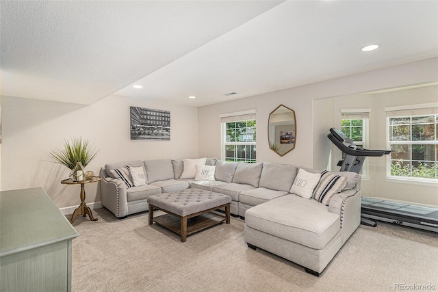 10197 Mountain Maple Ln, Highlands Ranch, CO 80129 - photo 32