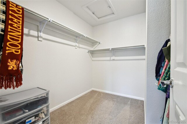 19221 E 65th Ave, Denver, CO 80249 - spacious closet with attic access and carpet