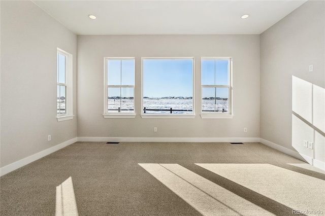 empty room featuring light colored carpet and a healthy amount of sunlight