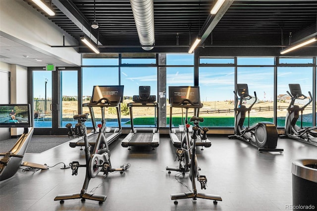 workout area with floor to ceiling windows and a wealth of natural light