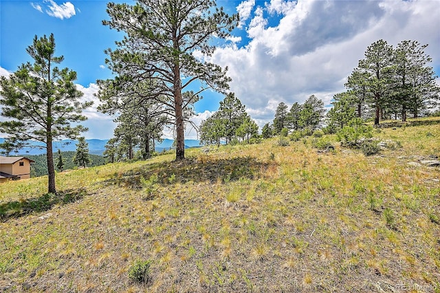 33550 Mount Wilson Trl, Pine CO, 80470 land for sale