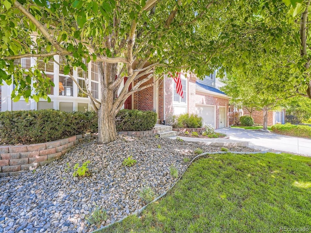 6577 S Waco Way, Aurora, CO 80016 - view of property hidden behind natural elements featuring brick siding and driveway