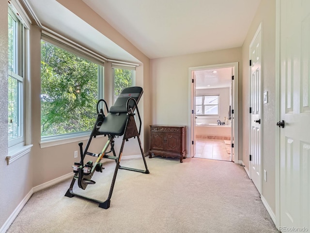6577 S Waco Way, Aurora, CO 80016 - workout area featuring carpet flooring