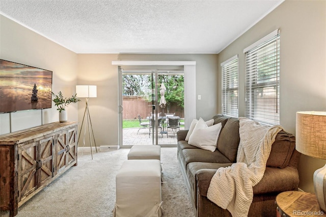 1060 S Harrison St, Denver, CO 80209 - living room with light carpet and a textured ceiling