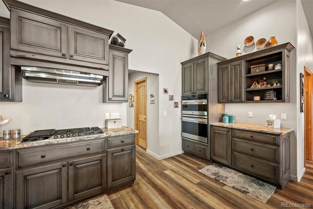 kitchen featuring appliances with stainless steel finishes, lofted ceiling, light stone counters, and dark hardwood / wood-style flooring