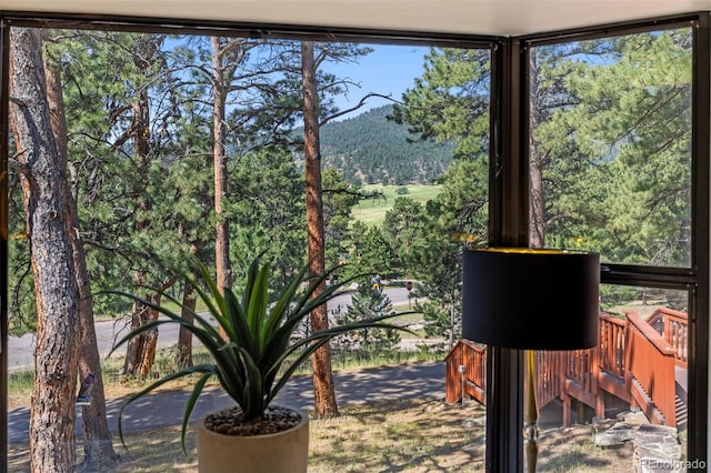 2394 El Dorado Ln, Evergreen, CO 80439 - photo 7
