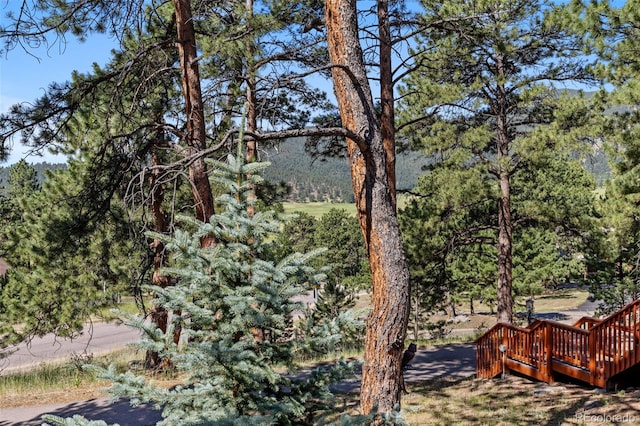 2394 El Dorado Ln, Evergreen, CO 80439 - photo 33