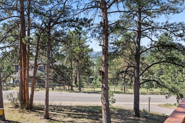 2394 El Dorado Ln, Evergreen, CO 80439 - photo 39