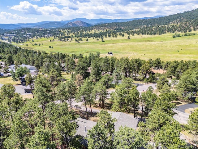 2394 El Dorado Ln, Evergreen, CO 80439 - photo 41
